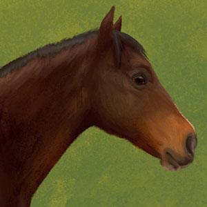 Painting of Amigo