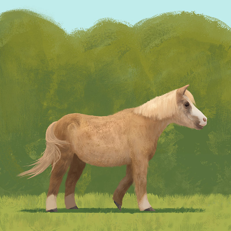 Painting of Fia