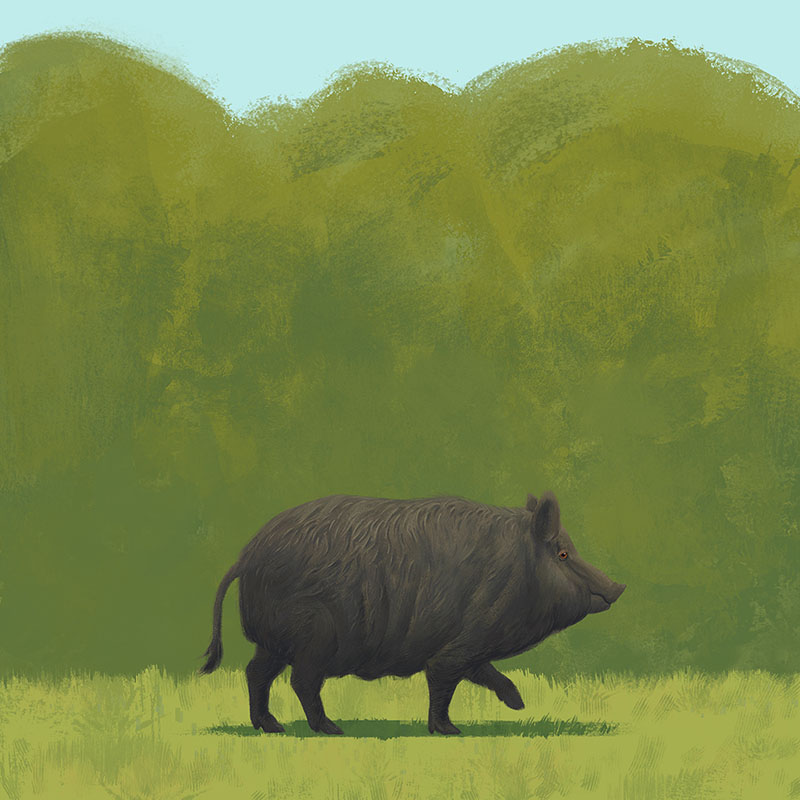 Painting of Merrybelle
