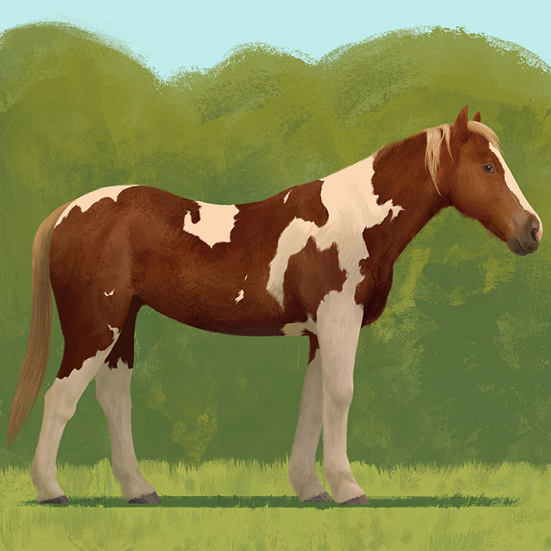 Painting of Ms. Buttons
