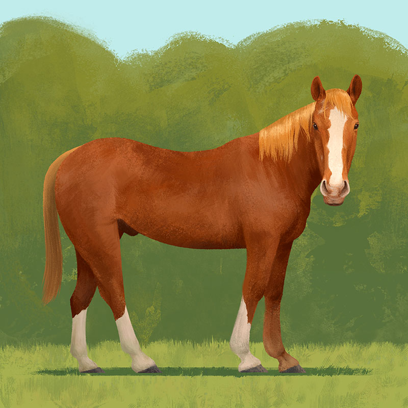 Painting of Three Socks