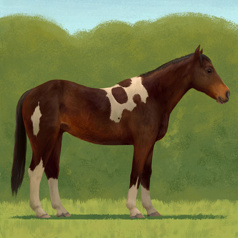 Painting of Amigo