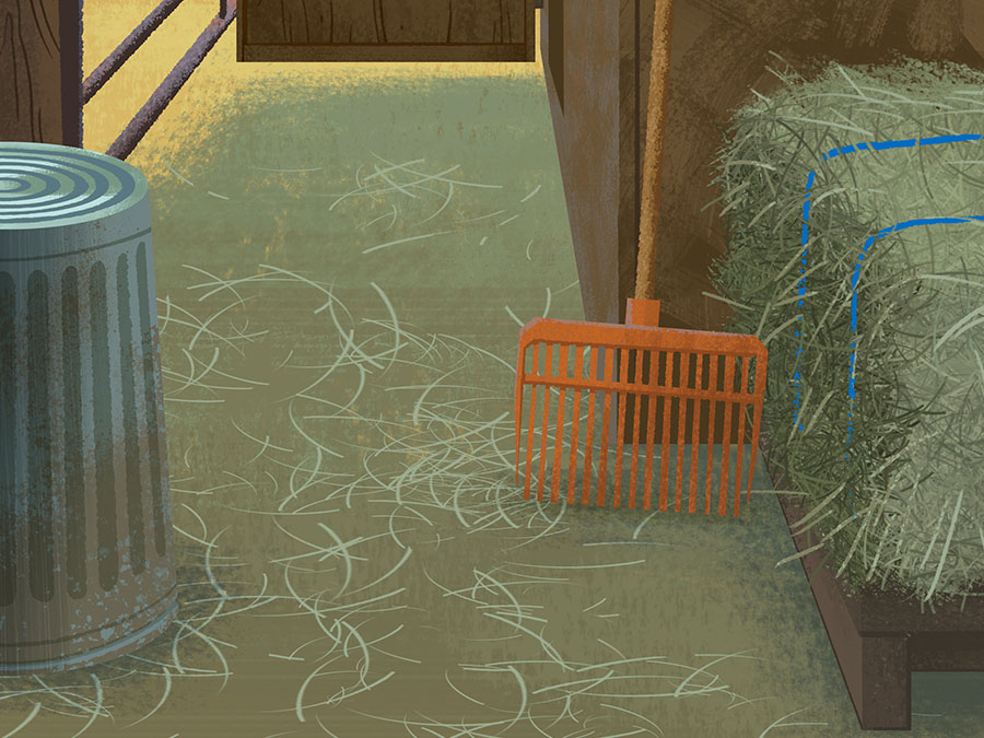 Close-Up of the interior of a stable