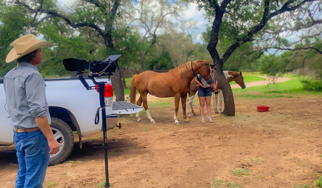 Behind the Scenes: Filming with Our Animal Cast