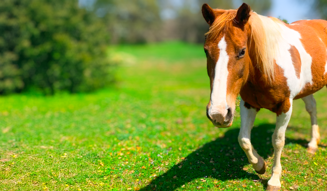 What a Week and Its Not Even Friday