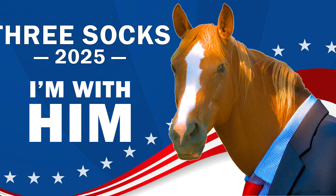 Vote Three Socks!