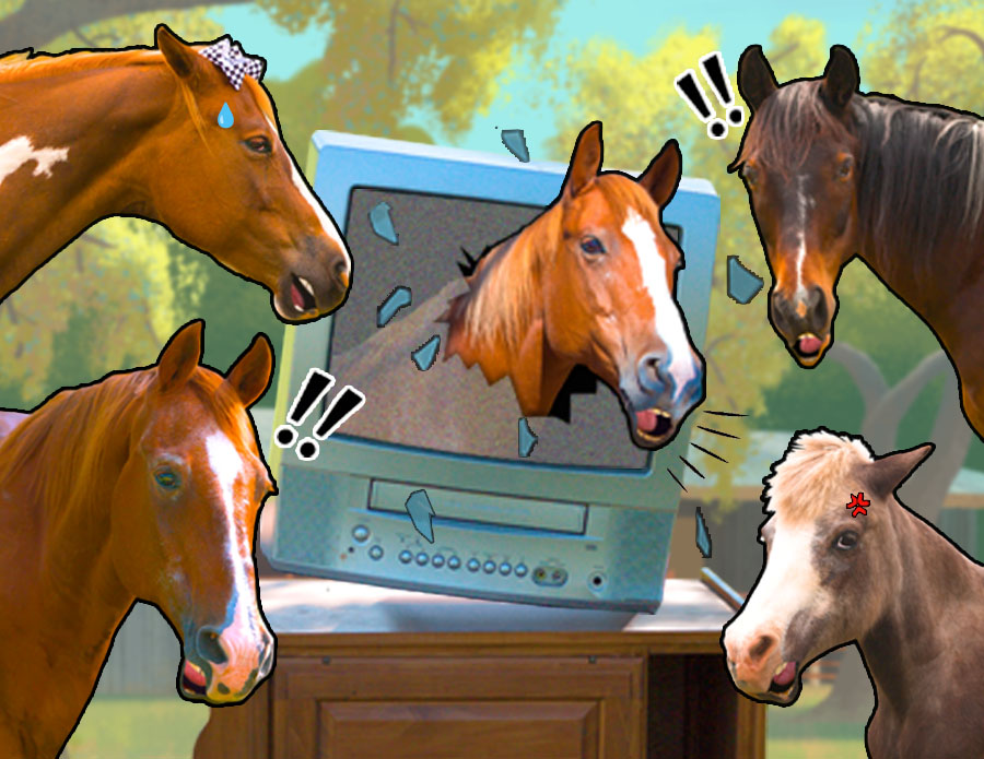 Three Socks Busting the TV